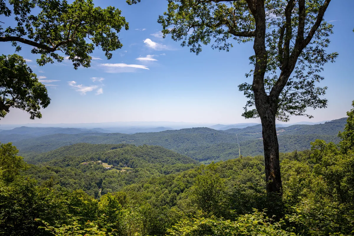A sweeping landscape view captures distant blue mountains, lush greenery, and a bright, clear sky. The scene exudes tranquility, inviting guests to imagine themselves hiking, birdwatching, or simply soaking in nature's beauty. There are no man-made structures in sight—just unspoiled wilderness, perfect for wildlife enthusiasts and adventurers.