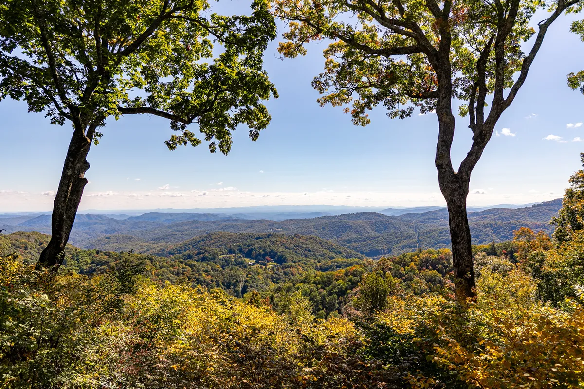 This image features a breathtaking mountain landscape, framed by two trees and vibrant, colorful foliage. The expansive view stretches across valleys and peaks, capturing the essence of natural inspiration and tranquility.