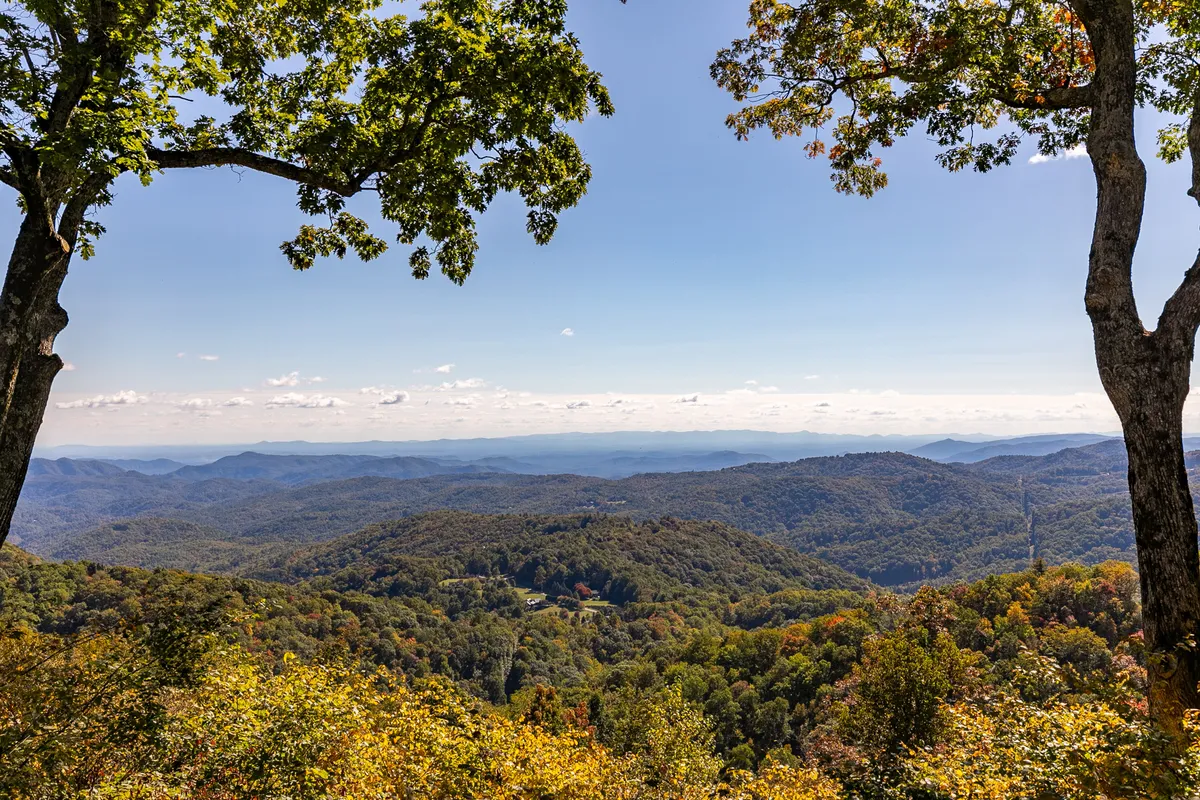 A breathtaking view of the mountain range under a clear sky, with dense foliage in the foreground. The scene suggests adventure and exploration, perfect for hiking or relaxing outdoors with pets.